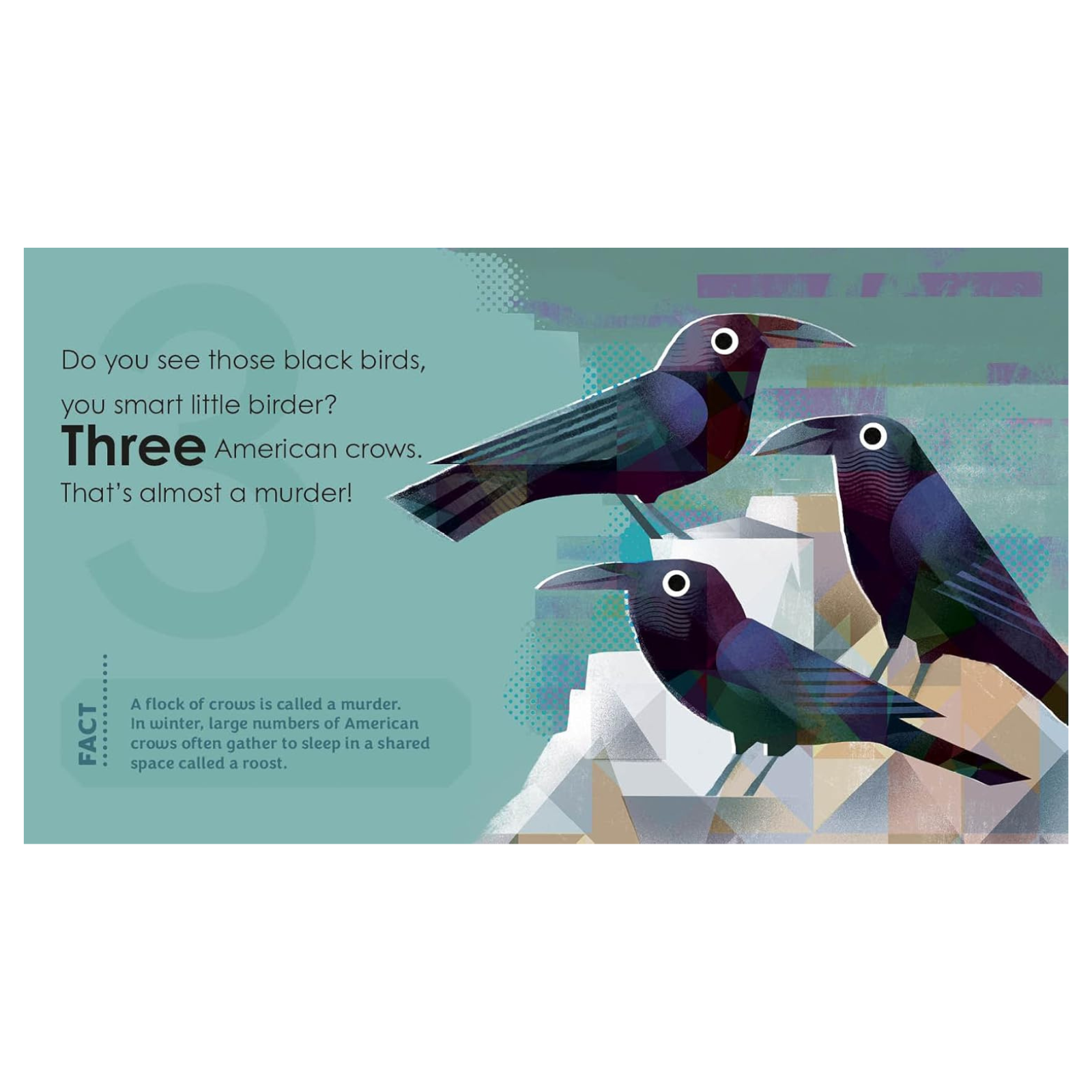 'Birding For Babies' Backyard Birds Book - A Numbers Book